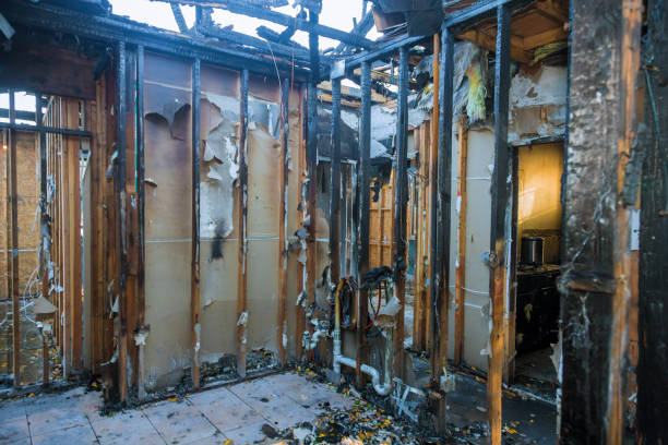 Professional Fire Damage Removal technician working in Winsted, MN