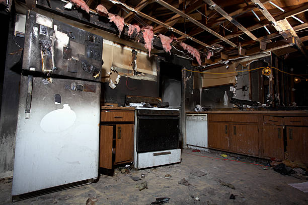 Trusted Fire Damage Removal service in Winsted, MN - Fire Damage Doption